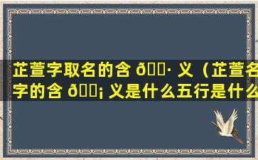 芷萱字取名的含 🌷 义（芷萱名字的含 🐡 义是什么五行是什么）